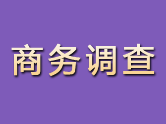 赤坎商务调查